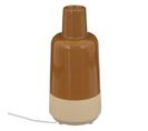 Diffuseur D'huiles Essentielles "marty" 150ml Ocre