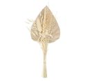 Mini Bouquet De Fleurs Naturelles "seav" 30cm Beige