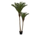 Plante Artificielle Palmier 2 Troncs H 180 Cm