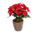 Plante Artificiel Poinsettia Étoile De Noël Rouge Pailleté En Pot  H 22 Cm