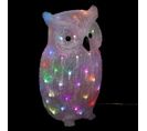 Hibou Lumineux 60 LED - Multicolore