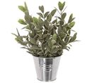 Plante artificielle H. 25 cm  Vert