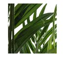 Palmier H.230 cm ARECA Vert