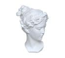 Objet Décoratif  Statue Tête De Vénus En Résine Blanche H 26 Cm