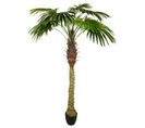 Plante Artificielle Déco "palmier" 180cm Vert