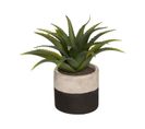 Plante Artificielle En Pot Bicolore D 28 Cm