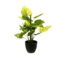 Plante Verte Artificielle En Pot H 45 Cm