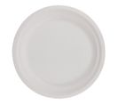 Lot De 12 Assiettes Jetables "canne" 18cm Blanc