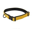 Collier Pour Chien "cosy Golden" 70cm Jaune