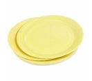 Lot De 20 Assiettes En Carton "vitamine" 18cm Jaune