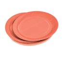 Lot De 20 Assiettes En Carton "vitamine" 18cm Terracotta