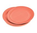 Lot De 20 Assiettes En Carton "vitamine" 23cm Terracotta