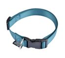 Collier Réglable Pour Chien "essentiel" 35cm Émeraude