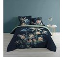 Parure De Lit Midnight Velvet 240x220