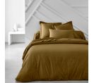 Housse De Couette  Essential En Coton - Bronze - 220x240 Cm