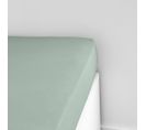 Drap Housse 2 Personnes Uni Essential En Coton - Vert - 160x200 Cm