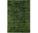 Tapis De Salon Lame En Viscose - Vert - 160x230 Cm