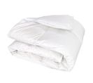 Couette 160x200 Cm Hiver Finlande Garnissage Naturel Duvet De Canard 300g/m2