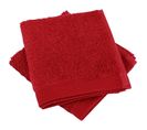 Lot De 2 Serviettes Invité 30x30 Cm Coton Peigné Alba Bordeaux