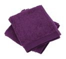 Lot De 2 Serviettes Invité 30x30 Cm Coton Peigné Alba Violet