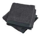 Lot De 2 Serviettes Invité 30x30 Cm Coton Peigné Alba Anthracite