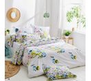 Parure De Lit 200x200 Cm 50x70 Cm Percale Coton Nenuphar Aqua