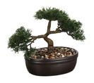 Bonsai Artificiel En Pot - H. 23 Cm