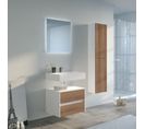 Meuble De Salle De Bain Visenza 600 Sv-b