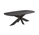 Table Repas Ovale 200cm Aspect Bois Noir Piètement Etoile - Alpha