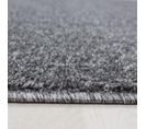 Tapis Salon 200x290 Soula Gris