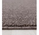 Tapis Salon 80x250 Soula Marron