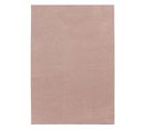 Tapis Salon 60x100 Soula Rose