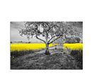 Tableau Colza Jaune 50 X 40 Cm Jaune