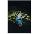 Tableau Bois Papillon Sur Une Feuille 50 X 70 Cm Bleu