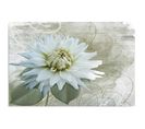 Tableau Bois Fleur Blanche 80 X 60 Cm Beige