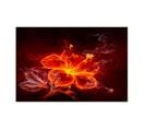 Tableau Bois Fleur De Feu 120 X 80 Cm Rouge