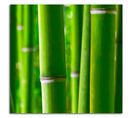 Tableau Bois De Bambou 20 X 20 Cm Vert