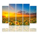 Tableau Paysage Tournesol 250 X 120 Cm Jaune