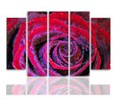 Tableau Rosée De Rose 200 X 100 Cm Rouge