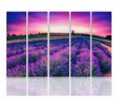 Tableau Paysage Lavande 300 X 140 Cm Violet