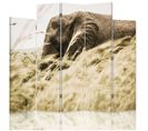 Paravent Design Éléphant Sauvage Et Nature Serengeti 180 X 180 Cm - 2 Faces R° V° + 360° Beige