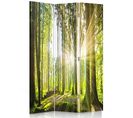 Paravent Ambiance Forêt Et Lumière - Cloison Nature 3 Panneaux 110 X 150 Cm - 1 Face Déco Vert