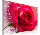 Tableau Dame Rose 90 X 60 Cm Rouge