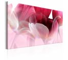 Tableau Tulipes Roses Naturelles 90 X 60 Cm Rose