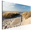 Tableau Plage Vierge 120 X 40 Cm Beige