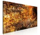 Tableau Pupille Étroite 150 X 50 Cm Orange