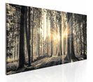 Tableau Rayon De Soleil 120 X 40 Cm Beige