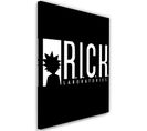 Tableau Rick Et Morty Logo R.i.c.k 40 X 60 Cm Noir