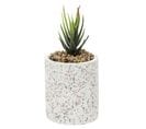 Plante Artificielle En Pot "terrazzo" 11cm