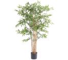 Plante Artificielle Haute Gamme Spécial Extérieur En Bambou Artificiel, Couleur Verte - 150 X 75 Cm